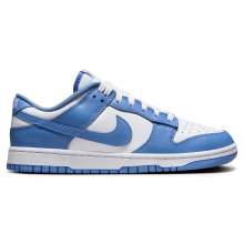 Chaussures De Basketball Hommes Dunk Low Bleu Nike DV0833-400