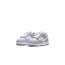 Grey Dunk Low Nike Basketball Shoes Kids DH9761-001