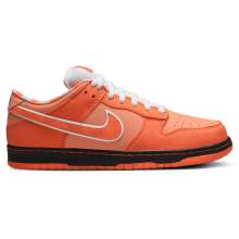 Orange SB Dunk Low Nike Skateboarding Shoes Mens FD8776-800